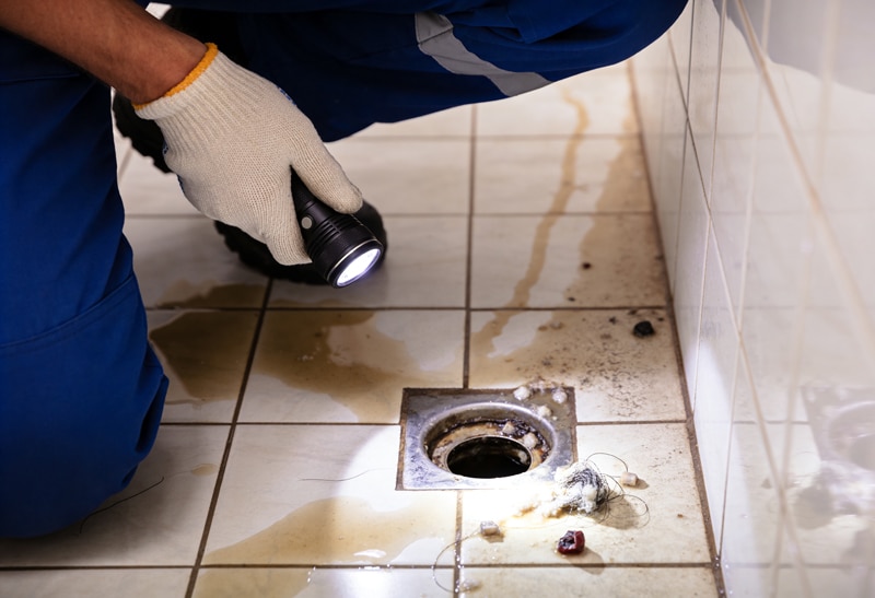 Plumber inspecting a clogged floor drain