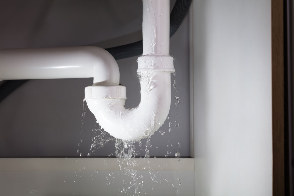 Water leaking from a P-trap under a sink